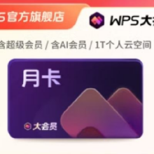 PLUS会员：WPS 大会员月卡31天