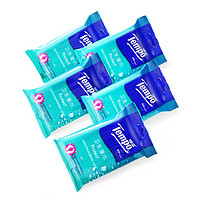 Tempo 得宝 一博同款 杀菌湿巾12片*5包 便携装  湿巾小包
