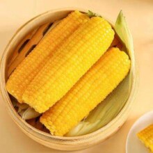 需首购：一支鲜 东北黄糯玉米棒 180g*10支