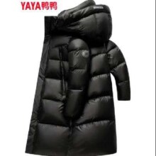 plus会员、京东百亿补贴：鸭鸭黑钻情侣羽绒服男