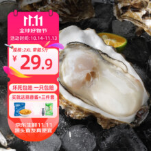 京东百亿补贴、plus会员:鲜海道 乳山牡蛎 精品2XL带箱5斤送酱（13-17只）