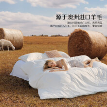 水星家纺 羊毛秋冬被子 (家居卡可更低)