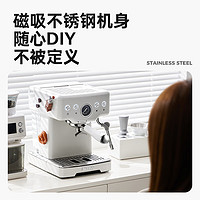 PETRUS 柏翠 咖啡机意式浓缩家用小型半自动蒸汽打奶泡 PE3833 海盐小方pro