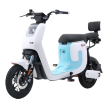再降价、京东百亿补贴：LUYUAN 绿源 ZK5-K5 电动自行车 TDT2171Z