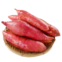 再降价、PLUS：言觉 板栗蜜薯 精选5斤装 红薯西瓜红 沙地蜜薯小香薯新鲜现挖山东地瓜山芋