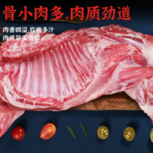31日20点！鲁禧海岸 新西兰半只羊   礼盒10斤装