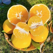 【黄金葡萄柚带箱5.1-6斤大果单果300g+】