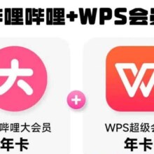 双11狂欢：哔哩哔哩大会员年卡 12个月 填手机号充值 送WPS会员年卡