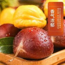 丹东板栗24年新货 产地直发 糖炒栗子软糯香甜 3斤大果净重