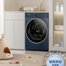 LittleSwan 小天鹅 TG10VE60 小乌梅2.0高奢版 直驱滚筒洗衣机 10kg