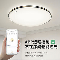 Panasonic 松下 米家智能全光谱吸顶灯 明畔金48W