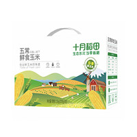 SHI YUE DAO TIAN 十月稻田 鲜食玉米 （220g*10根）2.2kg