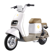 京东百亿补贴：SUNRA 新日 星空 TDT8990Z 电动车 48V24Ah