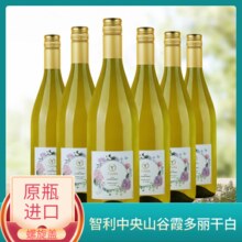 天帕智利中央山谷原装原瓶进口 天帕长相思霞多丽干白葡萄酒13度750ml 霞多丽干白整箱