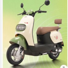 宝岛电动车 宝岛 星海高性能电摩电动摩托车60V20AH铅酸电瓶车