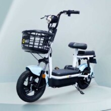 拼多多百亿补贴：新日 小麦迪 电动车 TDT5770Z 48V20Ah