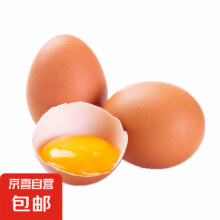 新鲜鸡蛋 谷物喂养鸡蛋 10枚装400g 现捡现发