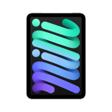 17号9点：Apple/苹果 iPad mini (A17 Pro) 8.3英寸 2024年新款平板电脑(256G WLAN版/MXNA3CH/A)深空灰色
