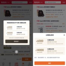 淘宝 88VIP专享福利 领2张12期免息券