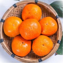 【脆柿子冰糖心净重4.6斤100-120g/只】整箱