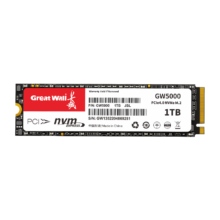 20点：长城 1TB SSD固态硬盘 M.2接口 NVMe协议  PCIe4.0x4 读速5100MB/s GW5000系列