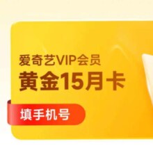 爱奇艺 VIP会员黄金会员 15个月