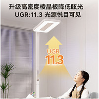 EYESPRO 孩视宝 红光护眼大路灯 E5-120W-R