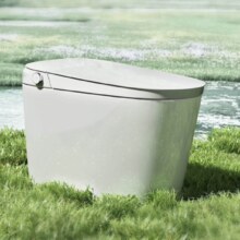 Plus、限地区:瑞尔特（R&T）智能马桶一体机全自翻盖无水压等离子杀菌节水智能坐便器UX8-305