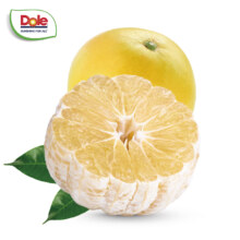 Dole 都乐 黄金爆汁葡萄柚1KG 2-4粒