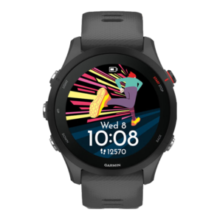 佳明（GARMIN）Forerunner255专业跑步智能户外运动手表多星定位心率血氧 神秘灰