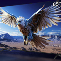 FFALCON 雷鸟 鹏6 24款 65S375C 液晶电视 65英寸