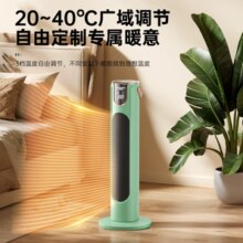 Skyworth 创维 A871 立式取暖器