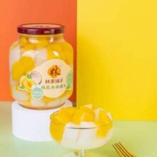 林家铺子 黄桃椰果双拼什锦罐头1000g