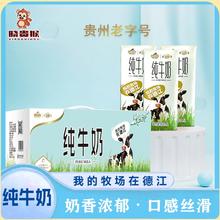 晓贵猴 皇氏集团遵义乳业纯牛奶200ml 1箱10盒