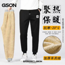 森马集团GSON男士羊羔绒卫裤 共2件