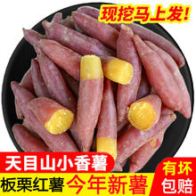 薯你棒 天目山小香薯 2.5kg