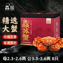 XIAN YAO 鱻谣 大闸蟹鲜活螃蟹 公3.3-3.6两 母2.3-2.6两 4对8只 去绳足重 生鲜蟹类礼盒