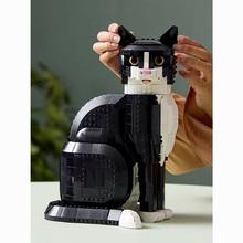 百亿补贴：LEGO 乐高 IDEAS 21349 燕尾服猫 拼搭积木玩具 收藏礼物