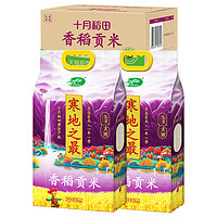 SHI YUE DAO TIAN 十月稻田 寒地之最 香稻贡米 10kg(5kg*2袋)
