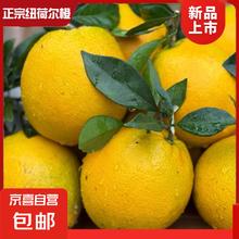 正宗纽荷尔脐橙子应季新鲜水果一整箱薄皮爆甜批发 5斤70-75mm