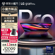 LG 乐金 gram Pro 2024 evo Ultra7 16英寸AI轻薄本AG防眩光屏长续航笔记本电脑（32G 1TB 黑）游戏AI PC8494元