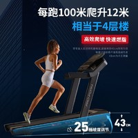 ICON 爱康 可折叠降噪减震爬坡跑步机 Carbon TLX 3.0持续马达