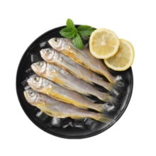 海之围场鲜冻三去舟山小黄鱼1kg(40条左右) 生鲜鱼类 海鲜水产 源头直发