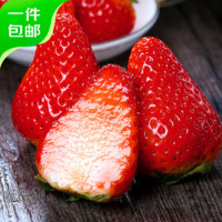 Mr.Seafood 京鲜生 丹东99红颜奶油草莓 两盒装500g