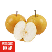 正宗山东冰糖秋月梨  生鲜水果 带箱3斤  单果200g+