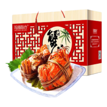 Plus会员:阳澄 联合大闸蟹鲜活全母蟹 2.0-2.3两 6只