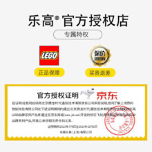 乐高（LEGO）礼品袋 方头仔积木儿童玩具 男孩女孩 儿童生日礼物 乐高情人40522119元