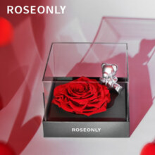 ROSEONLY 诺誓永生花经典钟情龙兔熊丘比特熊生日送女友老婆告白情人节礼物 钟情-丘比特熊959元 (券后省40)