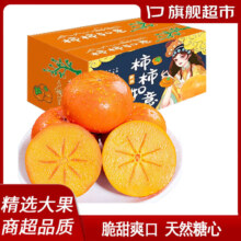 蒲恋山西 甜脆柿子脆皮巧克力柿礼盒 精选一级果 净重4.5斤【65-75mm