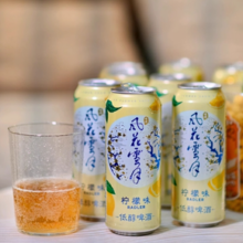 Carlsberg 嘉士伯 风花雪月特酿啤酒 500ml*12罐